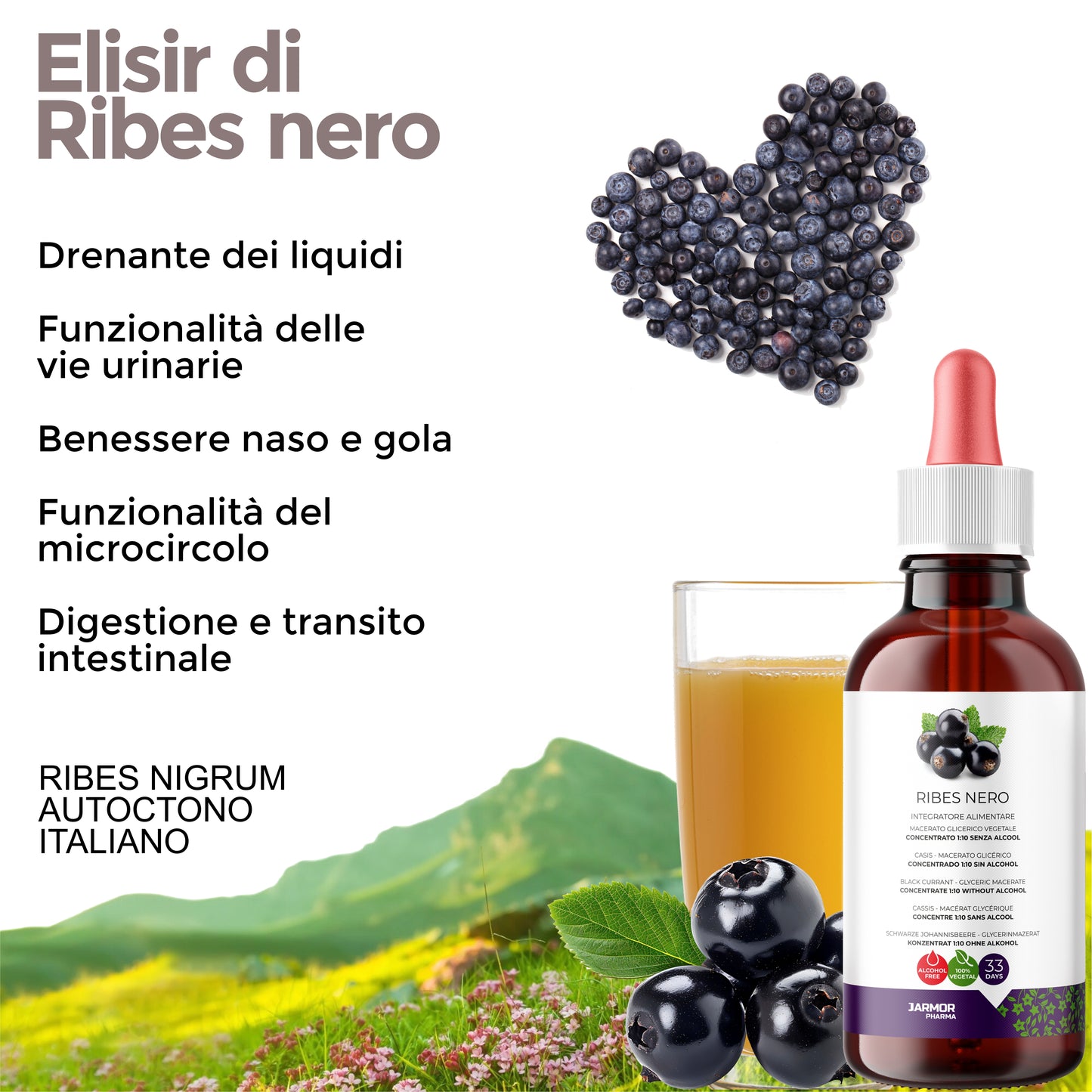RIBES NERO - articolazioni, vie urinarie e benessere respiratorio (Soluzione Gocce)