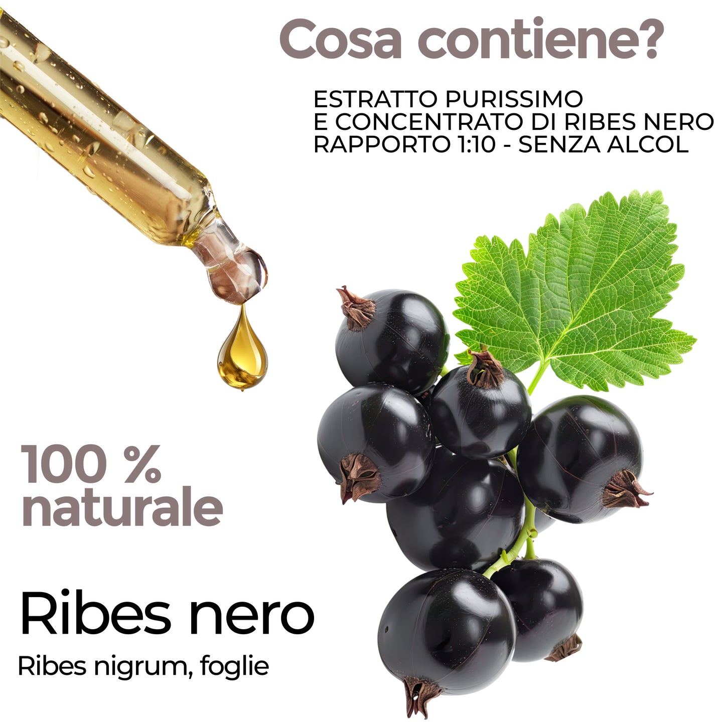 RIBES NERO - articolazioni, vie urinarie e benessere respiratorio (Soluzione Gocce)